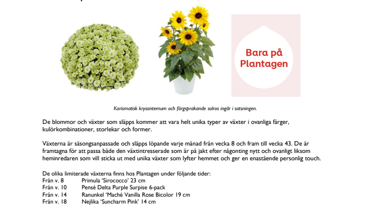 Plantagen lanserar unika månadsväxter