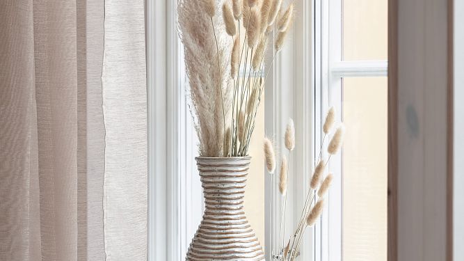 Rusta_2023_S1_Pampas_grass-1-I