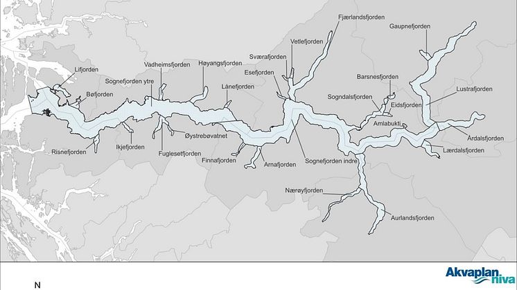 Sognefjorden deler.jpg