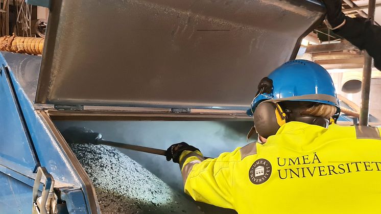 Forskare från Umeå universitet har hittat PFAS i bland annat den aska som blir kvar när avfall förbränns. Foto: Eva Weidemann