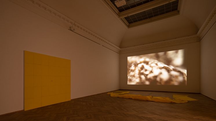 Lea Porsager, SENSITIVE WALL ()() & SENSITIVE WALL ()(), 2021. MIGHTY RUSHED EXPERIMENT, 2020. 