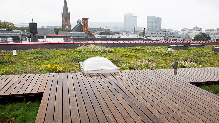 Du kan følge frokostmøtet "Kan vi bygge oss til mer natur i byen?" via stream. Foto: Vega scene/Esé Holte.