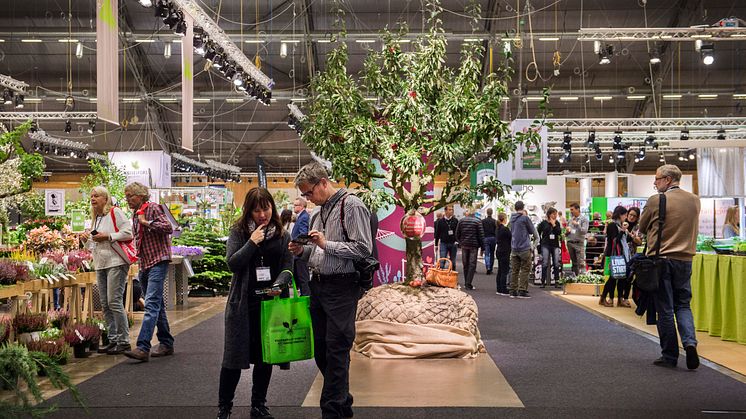 Elmia Garden 2015