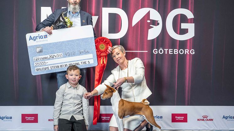 Basenji Årets Utställningshund 2023
