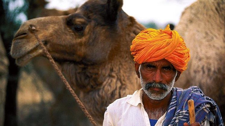 Kamelherde, Rajastan, Indien, 1993. Foto: Felix Oppenheim