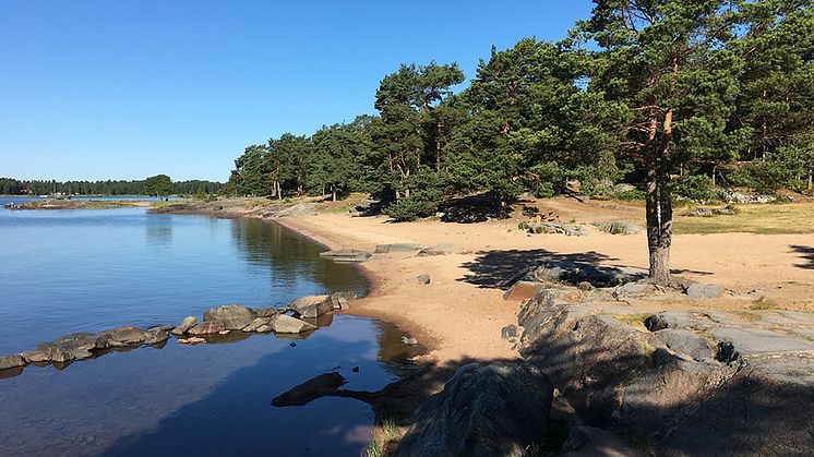 Karlstadsborna har många idéer om hur Skutberget kan utvecklas. Äventyrsbana, hopptorn och kafé är några av förslagen.