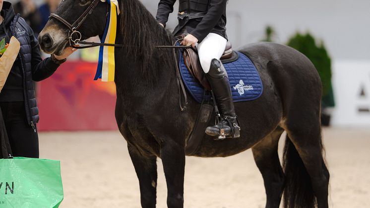 Segrare Kategori B Småland Ridskole Equitation Elin Sköld - Rex, Gislaved-Anderstorps Ridklubb.jpg