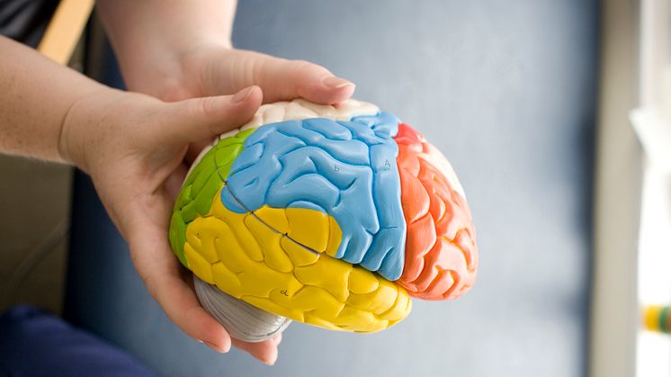 Beauty parlour stroke syndrome - the Stroke Association comments