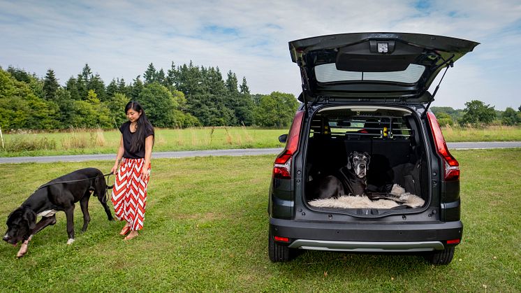 004 220815 Dacia Jogger og hunde