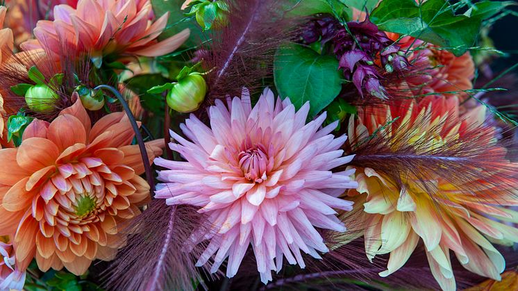 Elmia Garden 22-23 september