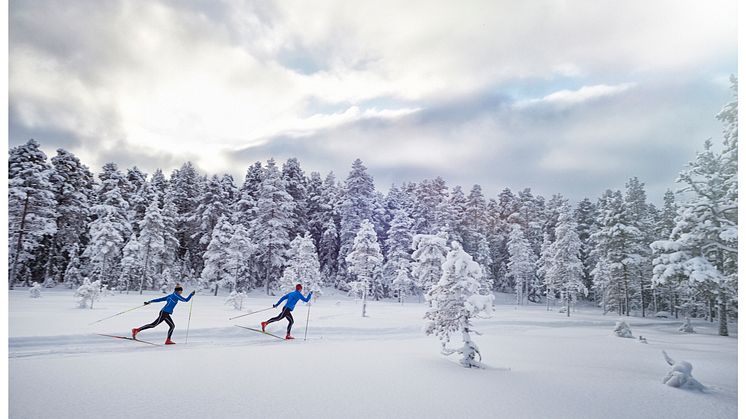 AW 14 cross-country