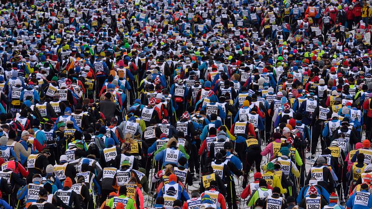 Vasaloppet starten 2015, första backen