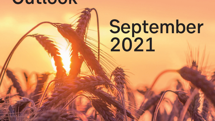 SEB Nordic Outlook September 2021.pdf