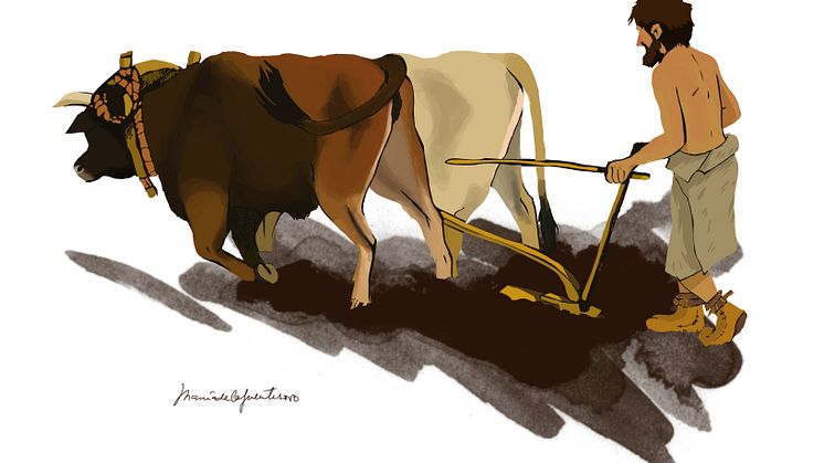 Artistisk tolkning av en iberisk neolitisk jordbrukare.  Illustration: Maria de la Fuente (Maria de la Fuente Archaeological Illustrations)