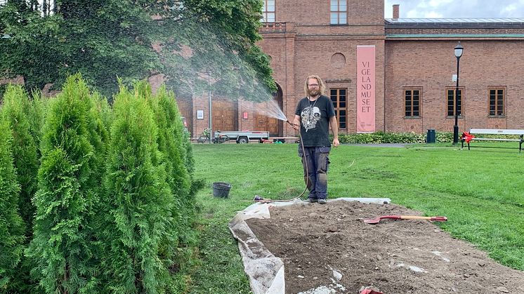 Per Kristian Nygård - Formenes økonomi / skulptur i tuja under arbeid