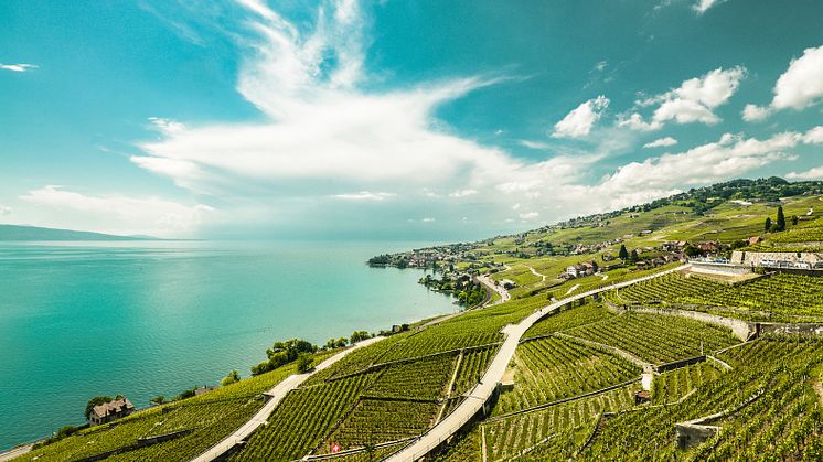 Das Weingebiet Lavaux © Maude Rion