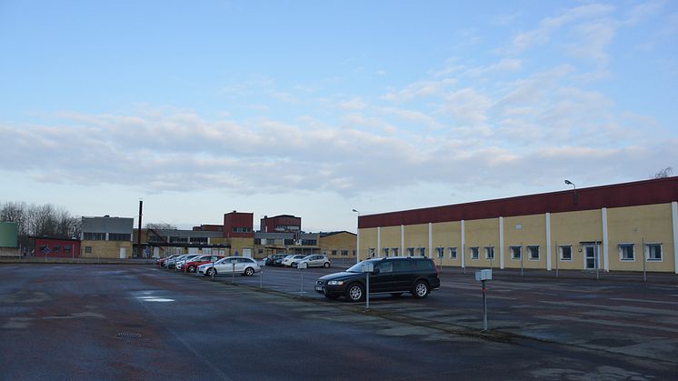 Kronfågel åter till Kristianstad