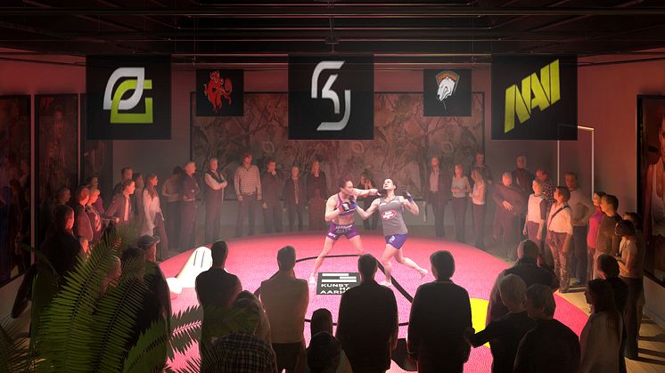 The Arena_visualisering