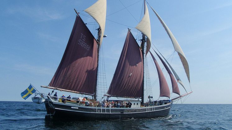 Havsresan 2023 - AddPro stolt sponsor när Swedish Coast and Sea Center (SCSC) gör skillnad på riktigt!