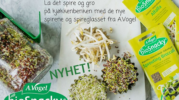 NYHET! Dyrk dine egne spirer med BioSnacky fra A.Vogel