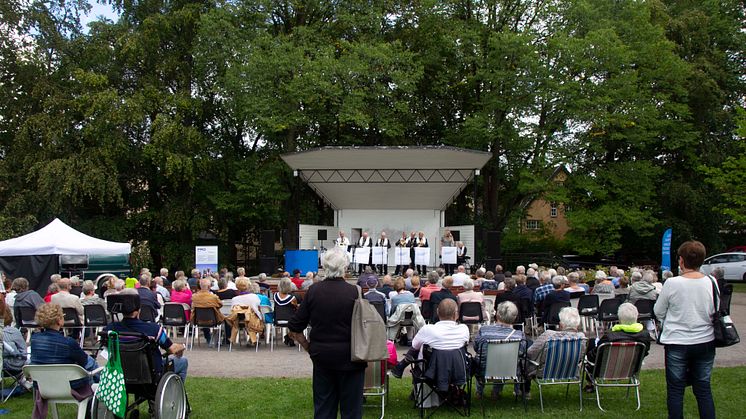Trädgårdsföreningen, Linköpings Stadsfest