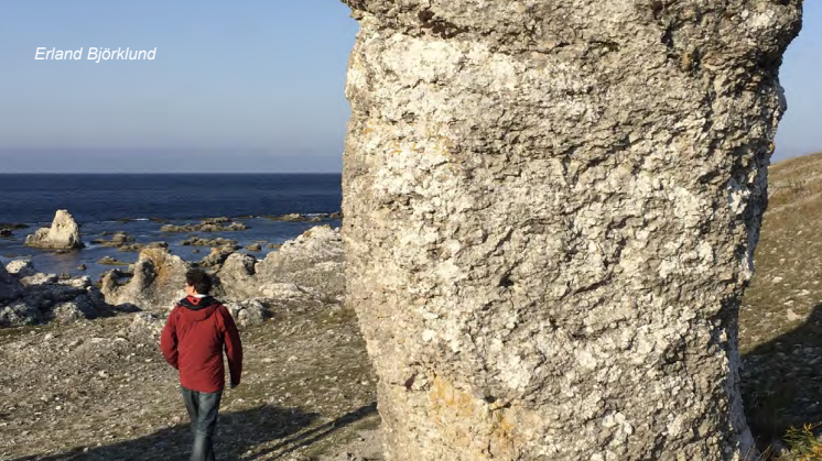 2021 Gotland: Koffein, läkemedel och antibiotika i Gotlands vattendrag och hav