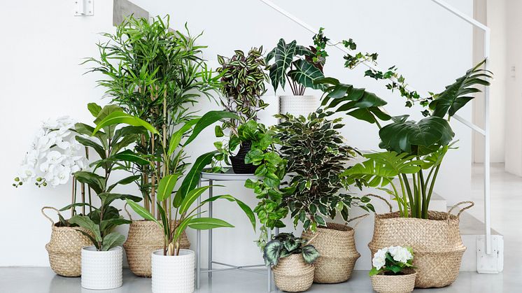Rusta S1_2020_Homedecoration_konstväxter_0350