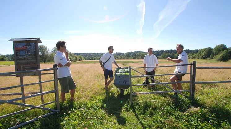 Gotthards krogs kockar på plats på Älvåkern. Från vänster: Petter Svarén, Nils Albertsson, köksmästare Gotthards krog, Simon Andersson, Anders Samuelsson, Köksmästare Blå hustet
