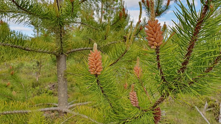 Biobase innehöll bland annat besök ute i skogen. 