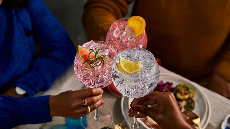 Malfy Gin X LILLET Festive Gintonica Ideas