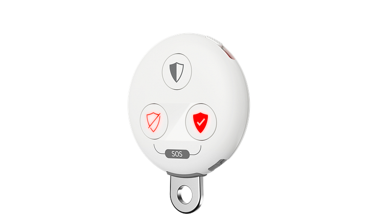KEYFOB_WhiteGrey.png