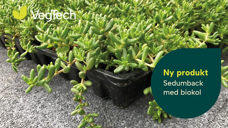 VegTech lanserar en ny produkt inom vårt sortiment Gröna tak!