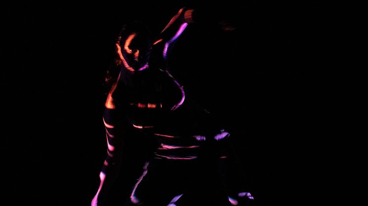 Company Nicolas Huchard - The barefoot diva