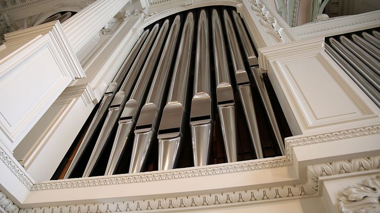 Nikolaikirche - Ladegast-Eule Orgel - Foto: Elli Flint
