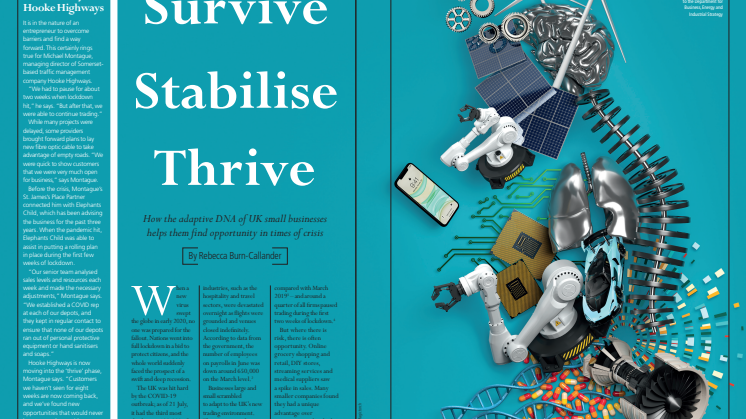 Survive Stabilise Thrive - Isansys features in the Investor Magazine