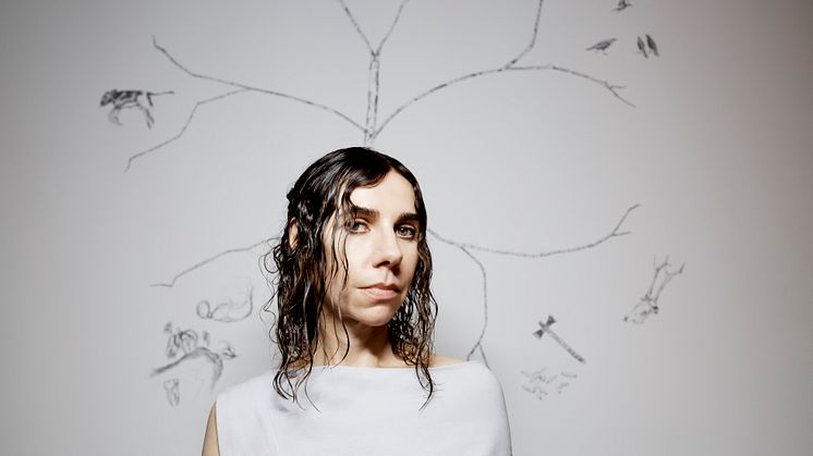 PJ Harvey 2, credit Steve Gullick