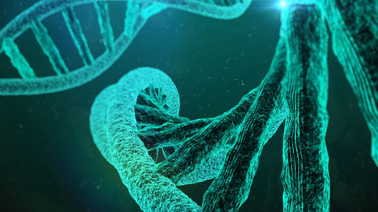 We have the pleasure of presenting the latest issue of Setterwalls’ Life Sciences report. The report presents our view on selected current issues with respect to life sciences.