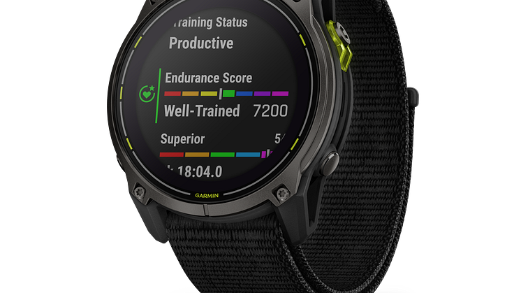 010-02751-01_02_Enduro3_black_HR_front-left_0003_endurance_score_hill_score_widget_glance.png