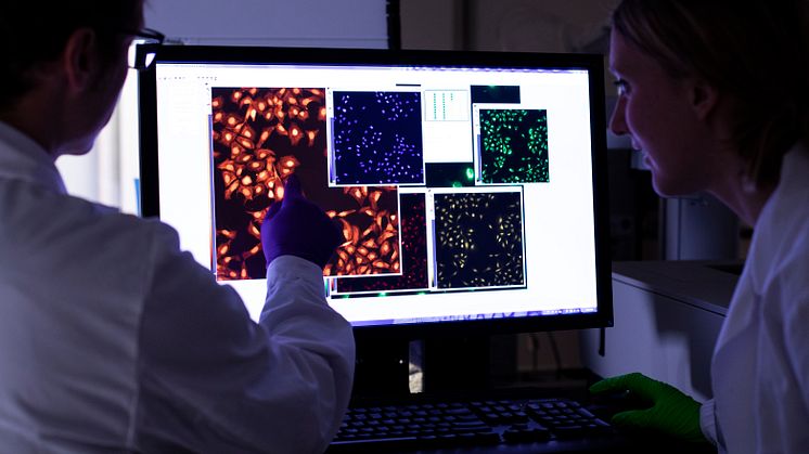 Jordi Carreras-Puigvert och Jonne Rietdijk studerar bilder som tas av ett högpresenterande mikroskop. Foto: Uppsala universitet