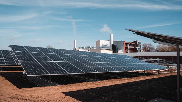 Der neue Solarpark auf dem Firmengelände von Interquell Petfood
