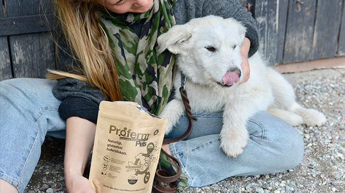 Proferm® Pets nytt pre- och probiotiskt fodertillskott för husdjur