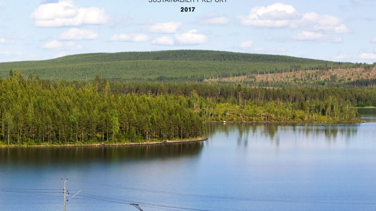 Green Cargo Annual Report 2017