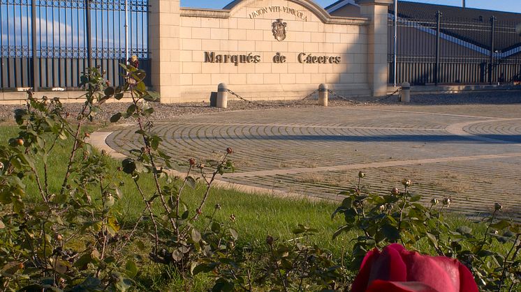 Marqués de Cáceres moderna anläggning i Rioja