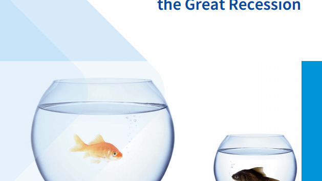Income inequality and employment patterns