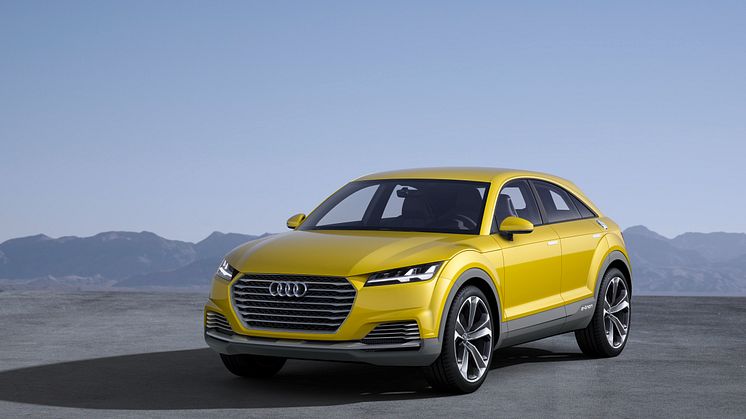 Audi TT offraod