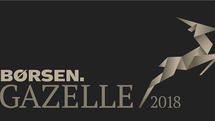 12 virksomheder fra Rebild Kommune er i 2018 kåret som gazeller af dagbladet Børsen.