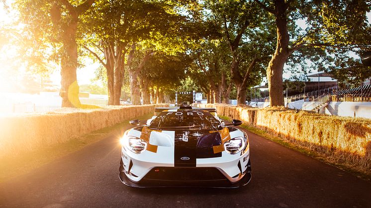Ford 2019 GT_MKII