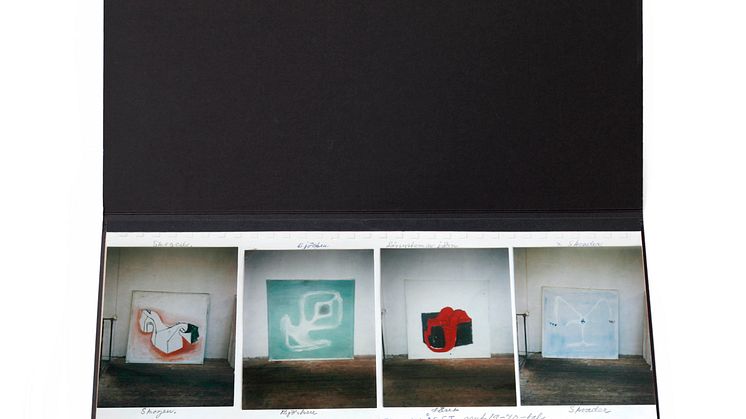 Svenska Designpriset 2011 har nominerat den kritikerrosade boken Identitetsfrisen