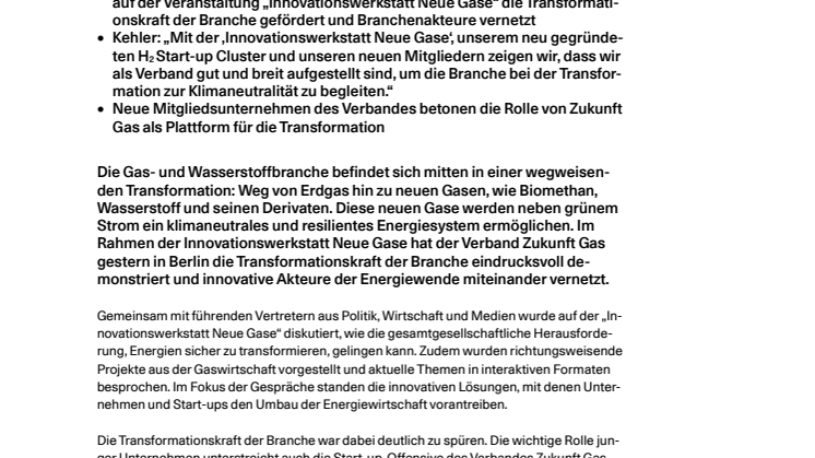 20231201_Innovationswerkstatt Neue Gase.pdf