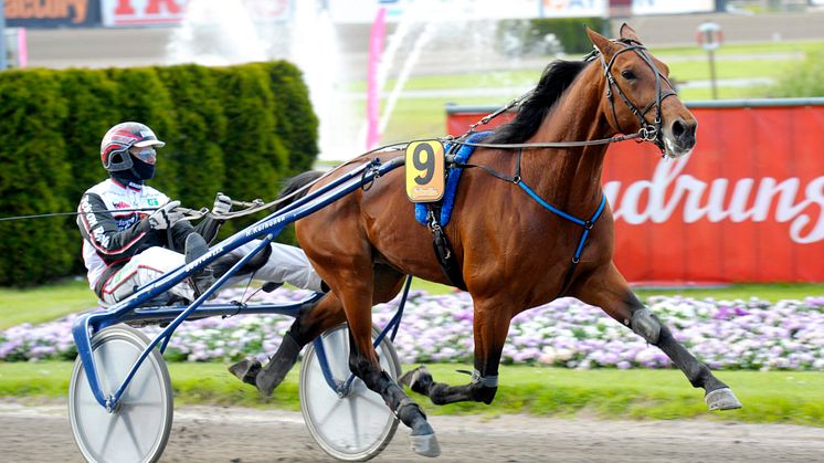 Victory Bonsai får ett wild card till Jubileumspokalen